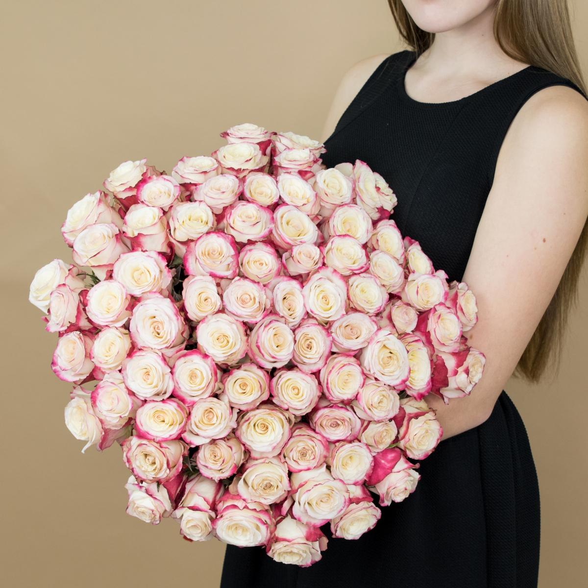 Розы красно-белые (40 см) Эквадор код товара - 465
