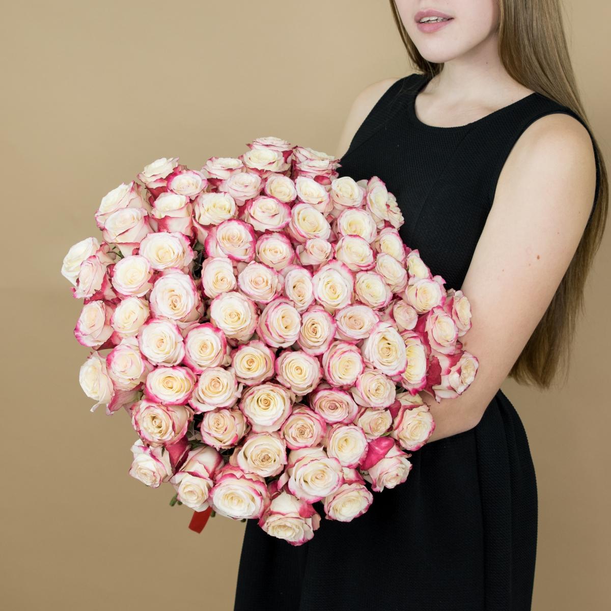 Розы красно-белые (40 см) Эквадор код товара - 465
