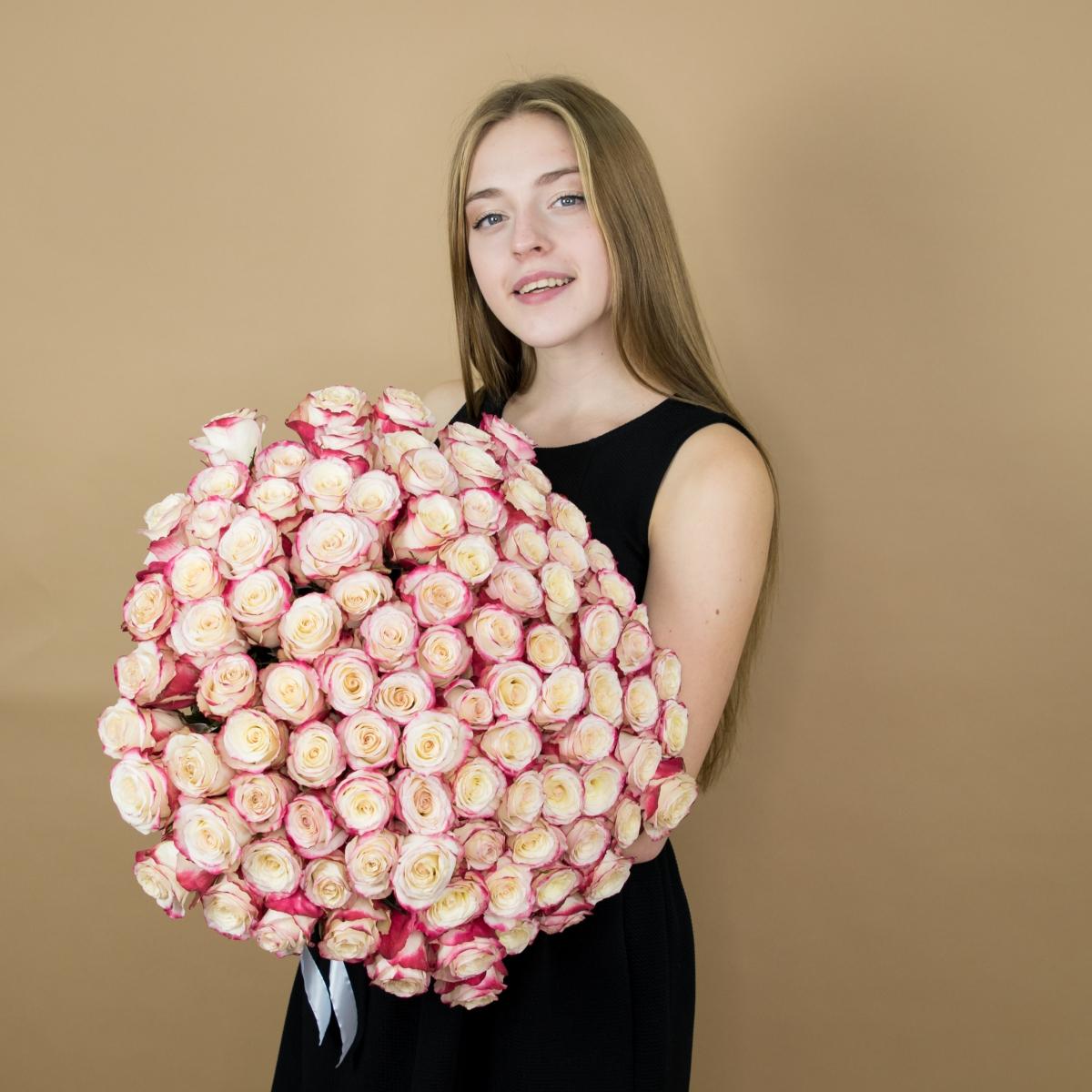 Розы красно-белые 75 шт 40 см (Эквадор) артикул букета: 82615
