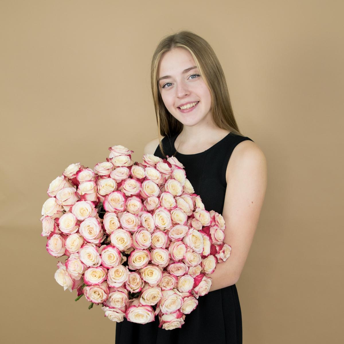 Розы красно-белые 75 шт 40 см (Эквадор) артикул букета: 82615