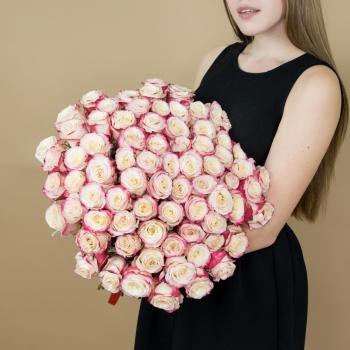 Розы красно-белые 75 шт 40 см (Эквадор) артикул букета: 82615